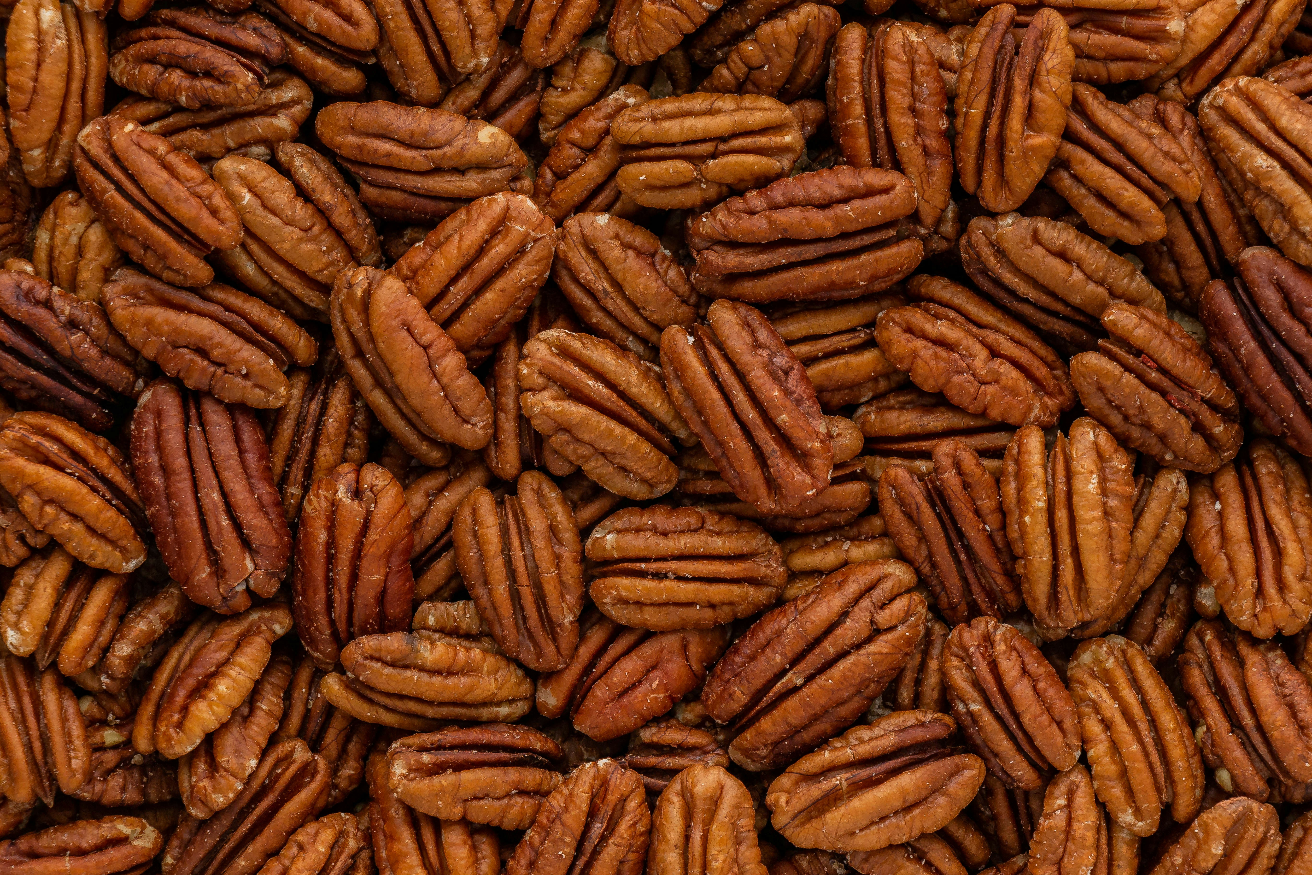 Shelled macadamia-style nut kernels